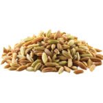 Fennel Seeds