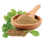 Coriander Powder